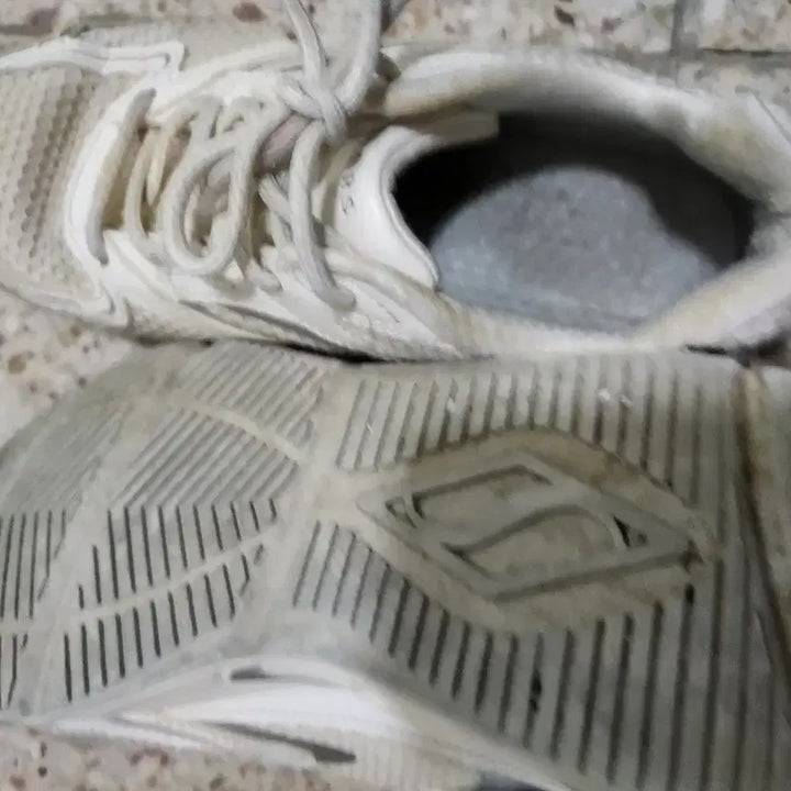 [BUNJANG] Skechers White Sneakers Size 230 / 스케쳐스 흰색 운동화 230사이즈입니다