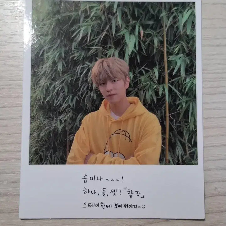 [BUNJANG] Stray Kids Seungmin Limited Edition Postcard / 스트레이키즈 승민 고생 한정반 구성물 폴라 하자있음