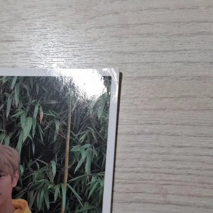 [BUNJANG] Stray Kids Seungmin Limited Edition Postcard / 스트레이키즈 승민 고생 한정반 구성물 폴라 하자있음