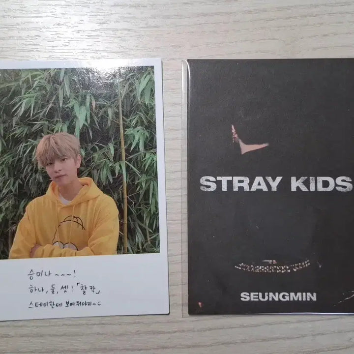 [BUNJANG] Stray Kids Seungmin PERIPHERY Limited Edition Album Inclusions / 스트레이키즈 승민 고생 인생 앨범 한정반 구성물 퍼핌 특전