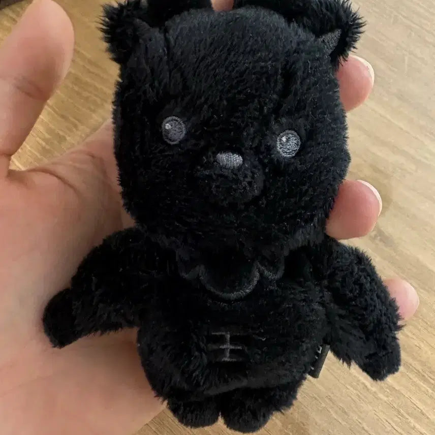 [BUNJANG] RIIZE Sungchan Fame Version Doll / 라이즈 성찬 페임버전 인형 팔아요