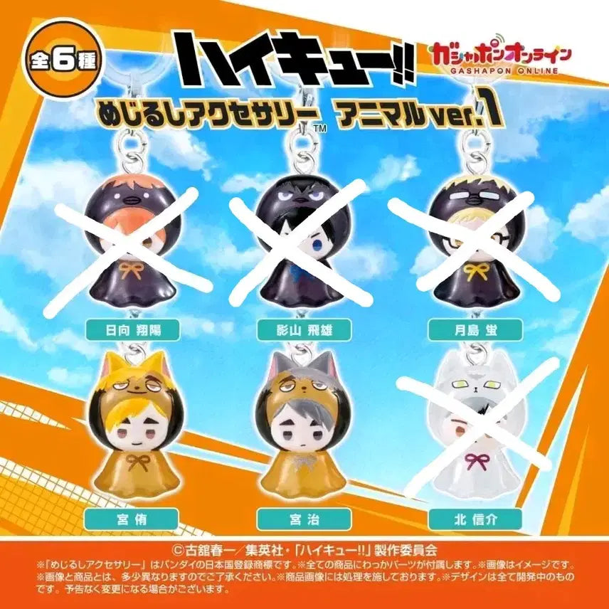 [BUNJANG] Haikyuu!! Mezurushi Official Goods / 하이큐 메지루시 공구