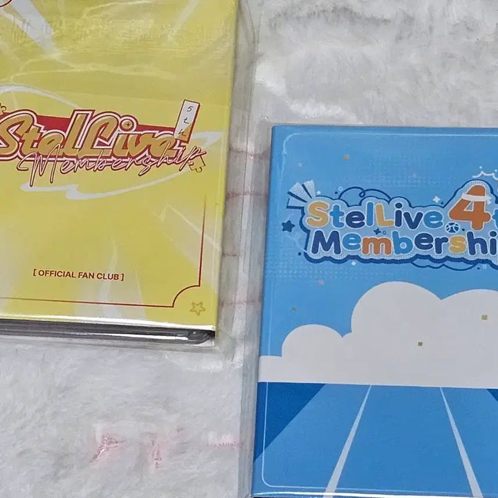 [BUNJANG] Straylive 4th/5th Membership Card Bundle Set / 스텔라이브 4기/5기 멤버십 카드 양도