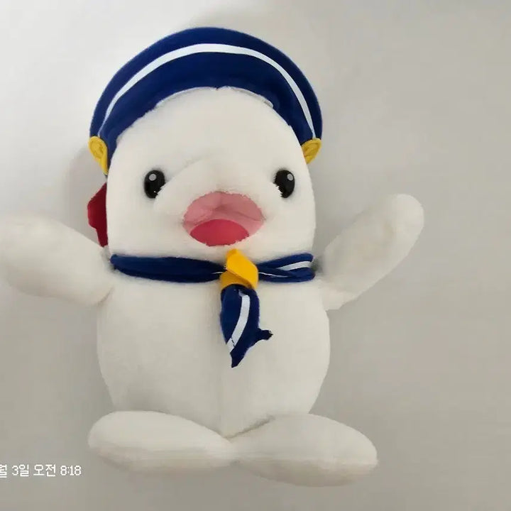 [BUNJANG] Nagoya Aquarium Limited Beluga Whale Plush Toy / 고전 돌고래 벨루가 마린룩 인형 일본 나고야 수족관