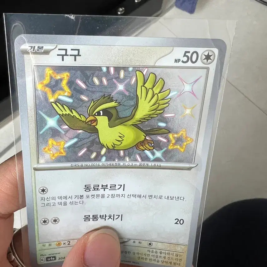 [BUNJANG] Pokemon Card Shiny Pidgey Error Card S-Class / 포켓몬 카드 구구 이로치 에러카드 s급 판매