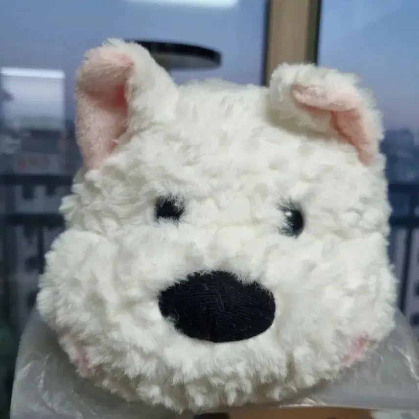 [BUNJANG] ZIANG FRIENDS Puppy Plush Toy (New) / (새상품)반전 여우/ 강아지 인형 30cm