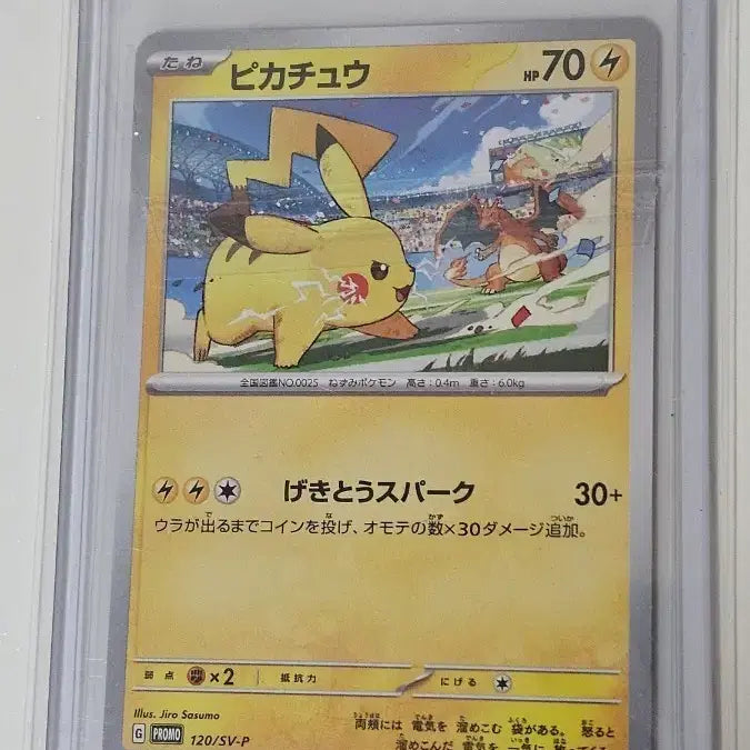 [BUNJANG] Pikachu Promo Pokemon Card / 포켓몬 카드 피카츄 프로모