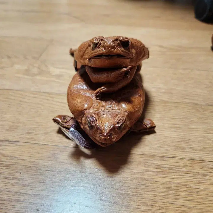 [BUNJANG] Frog Coin Purse / Display Plush / 인형 판매합니다