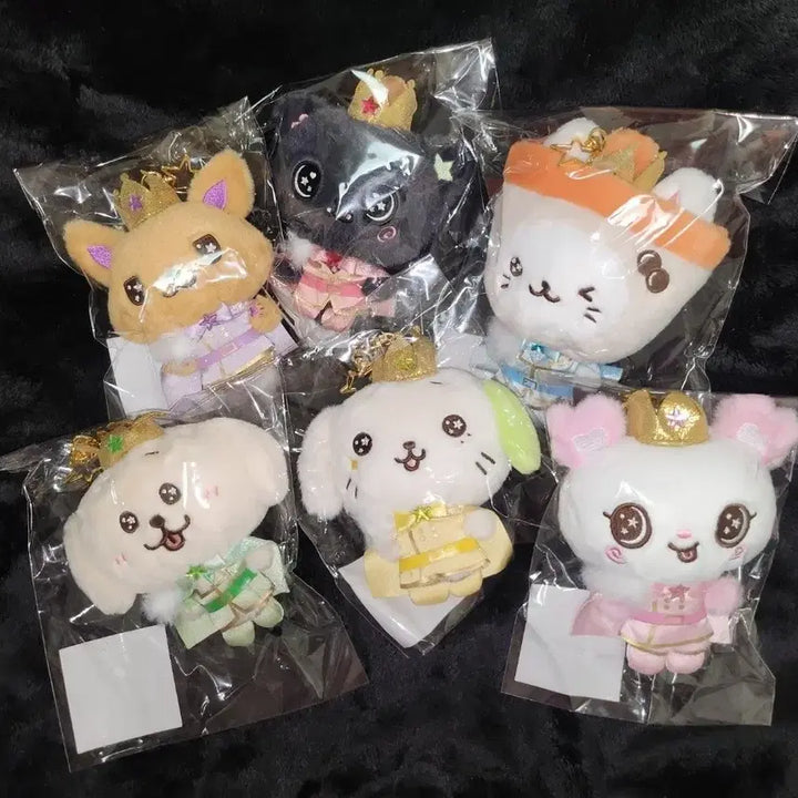 [BUNJANG] Prince Wishdoll Bundle Set Photocard (Sealed) / 프린스 위시돌 미개봉 일괄 양도 시오닝 쿠리 버블냥 댕트리버 룐룐 팡이