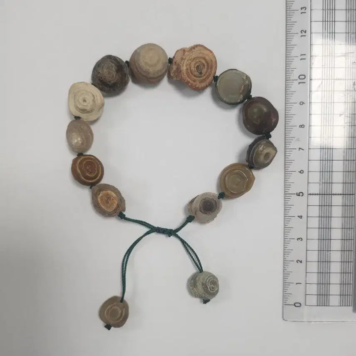 [BUNJANG] Gobi Desert Natural Agate Eye Bracelet / 고비사막 천연 안구(눈, 아이) 마노, 천안석 팔찌