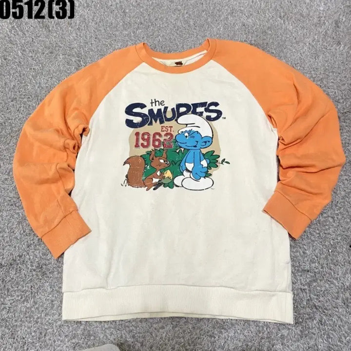 [BUNJANG] Vintage Sweatshirt / 빈티지 맨투맨