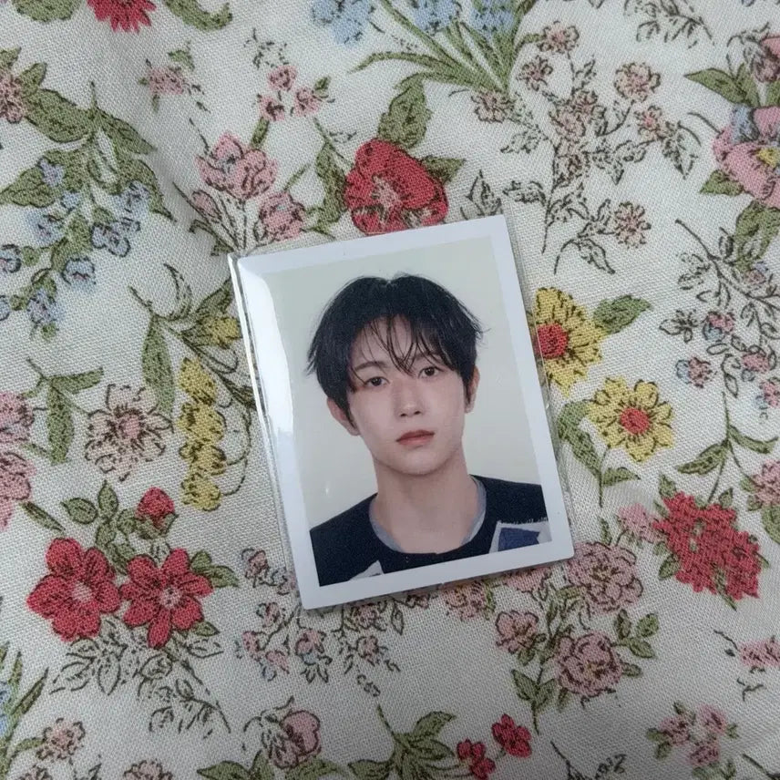 [BUNJANG] NCT WISH Ryo Big Mini Photo Card / 엔시티위시 료 빅 스미니 증명사진 증사