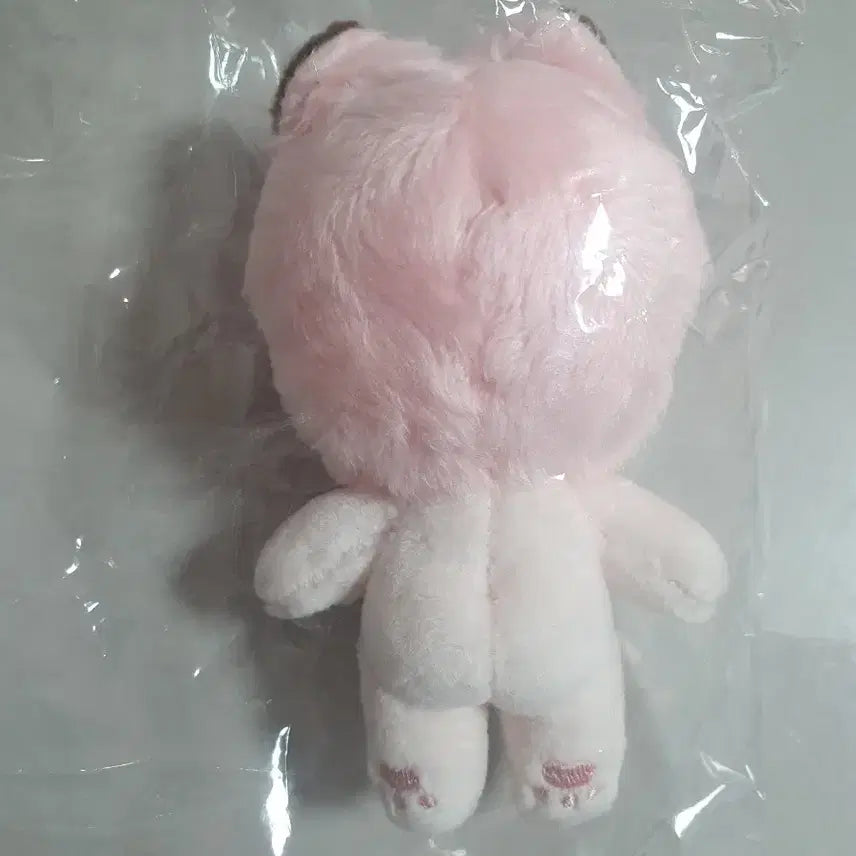 [BUNJANG] Unbranded 5cm Choco Plush / 무속성 쪼꼬 5cm (에필sp)