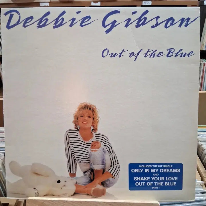 [BUNJANG] Debbie Gibson Out of the Blue LP Record / 데비 깁슨 Out of the Blue LP 할인
