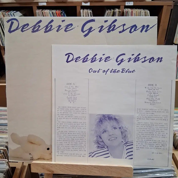 [BUNJANG] Debbie Gibson Out of the Blue LP Record / 데비 깁슨 Out of the Blue LP 할인