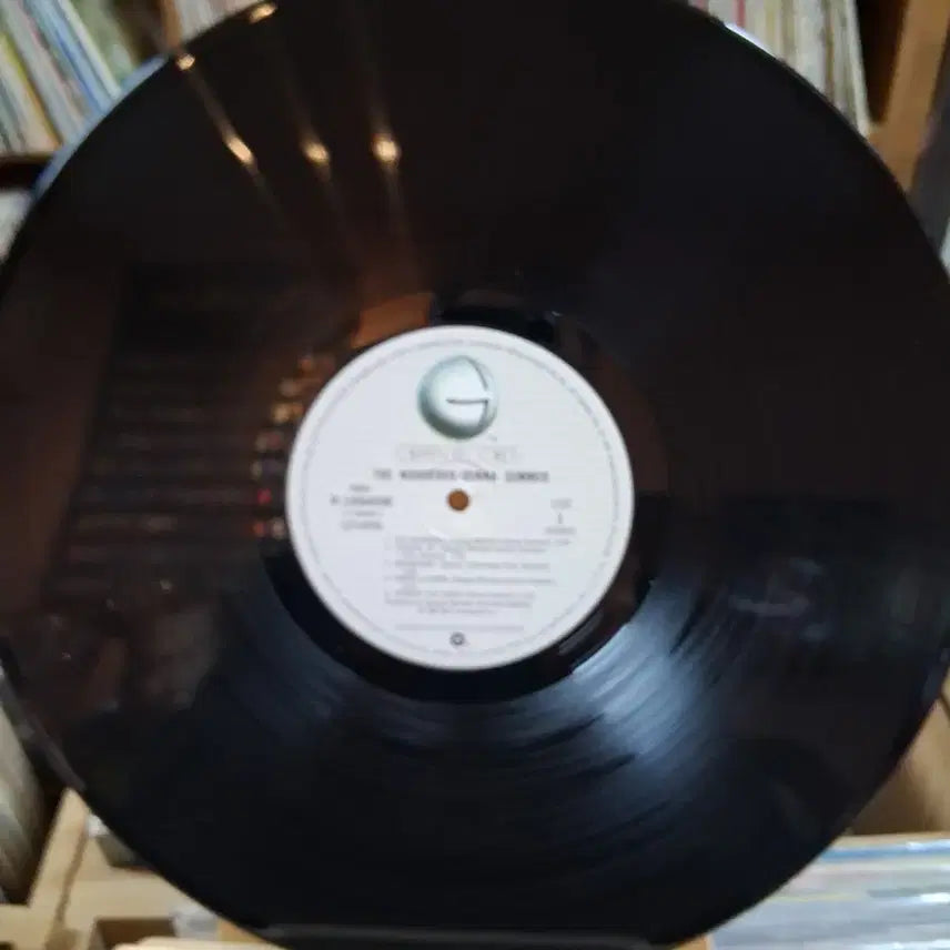 [BUNJANG] Donna Summer &