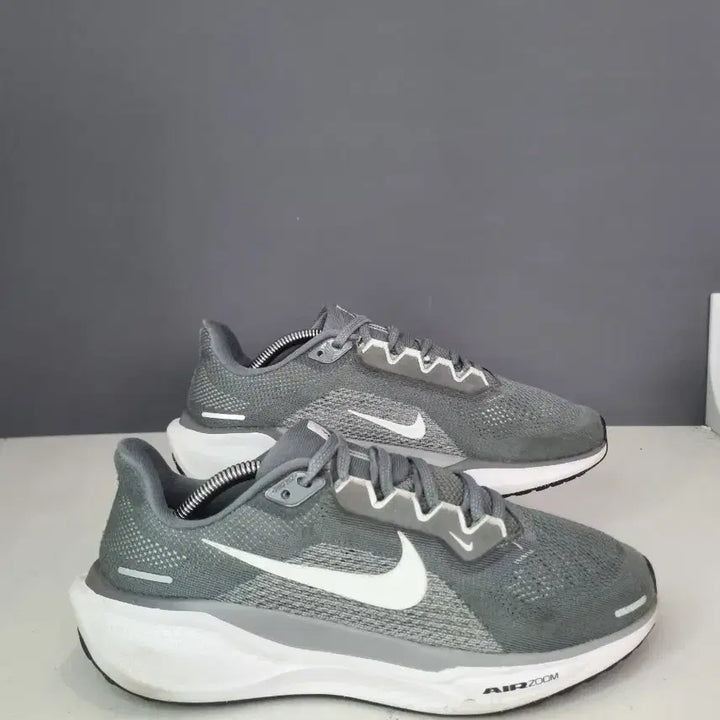 [BUNJANG] Nike Air Zoom Pegasus 40 Grey / 효자빈티지 255 나이키 에어줌 페가수스40 그레이