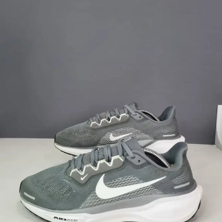 [BUNJANG] Nike Air Zoom Pegasus 40 Grey / 효자빈티지 255 나이키 에어줌 페가수스40 그레이