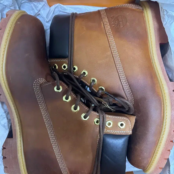 [BUNJANG] Timberland x Hatching Room Oil Burnished 6-Inch Boots Size 280 / 팀버랜드 x 해칭룸 오일 버니쉬드 6인치 부츠 280
