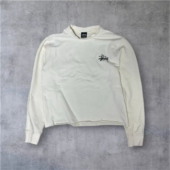 [BUNJANG] Stussy Cropped Sweatshirt / 스투시 크롭 스웻셔츠