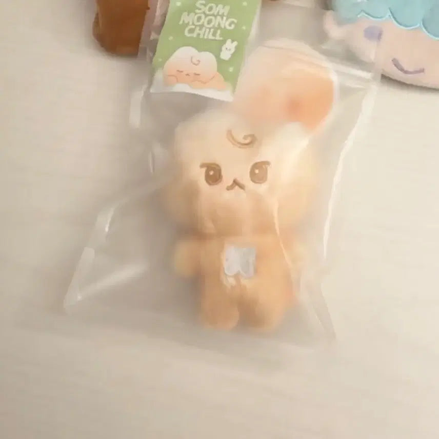 [BUNJANG] NCT Doyoung Doll Set - Original Price Below Market / 엔시티 도영 도궁빵 원가이하 엔시티 인형 재현 정우 도영인형 도영 인형