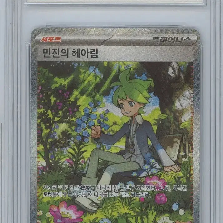 [BUNJANG] Pokemon TCG Minjin&