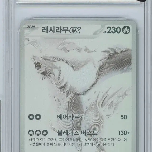 [SOLD OUT] 레시라무 bwr 등카 판매