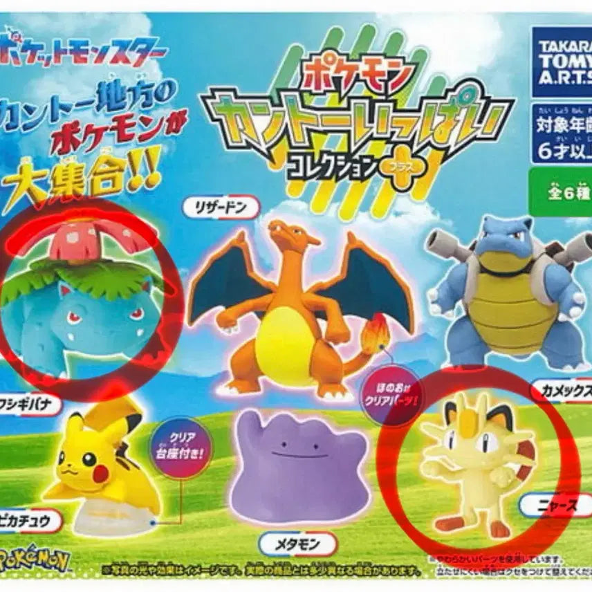 [BUNJANG] Pokemon Kanto Collection Gacha Bulbasaur, Meowth Bundle Set / 포켓몬 칸토 컬렉션 가챠 이상해꽃, 나옹 일괄