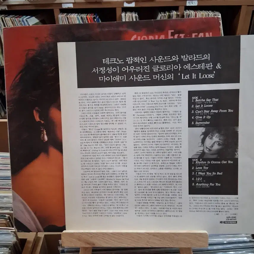 [BUNJANG] Gloria Estefan Let It Loose LP / 남미 팝 여왕 글로리아 에스테판 Let It Loose LP