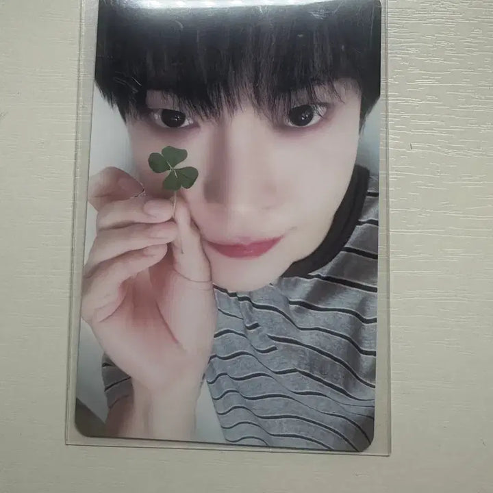[BUNJANG] NCT 127 Do Young Clover Soar KMS Photocard &amp; Polaroid Bundle / nct127 엔시티 클로버 도영 Soar kms 미공포 앨포 포카 폴라