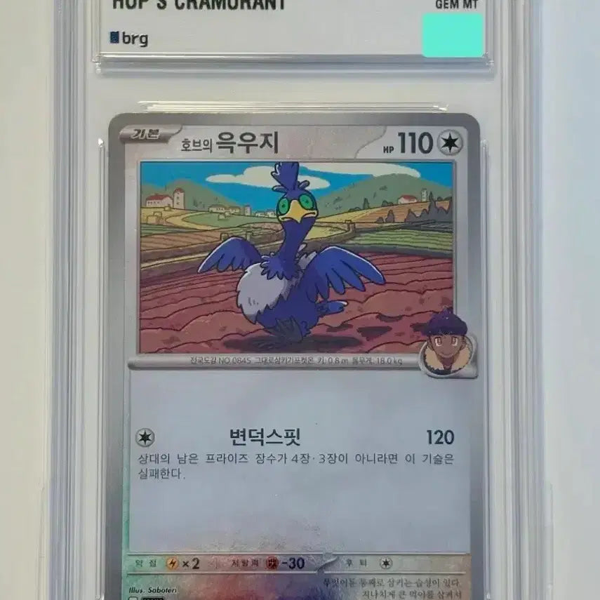 [BUNJANG] Pokemon Card Hob&