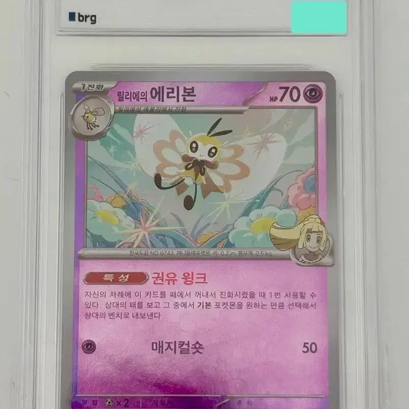 [BUNJANG] Pokemon Card Lily&