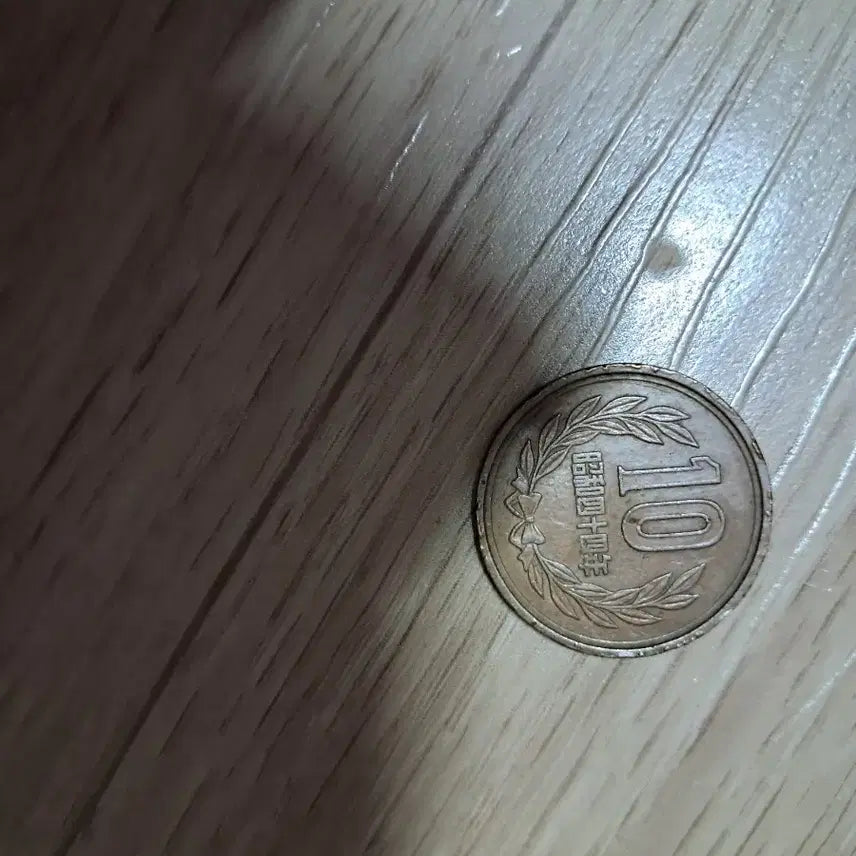 [BUNJANG] Japan 10 Yen Coin Set (1964, 1969) / 일본 10엔 동전