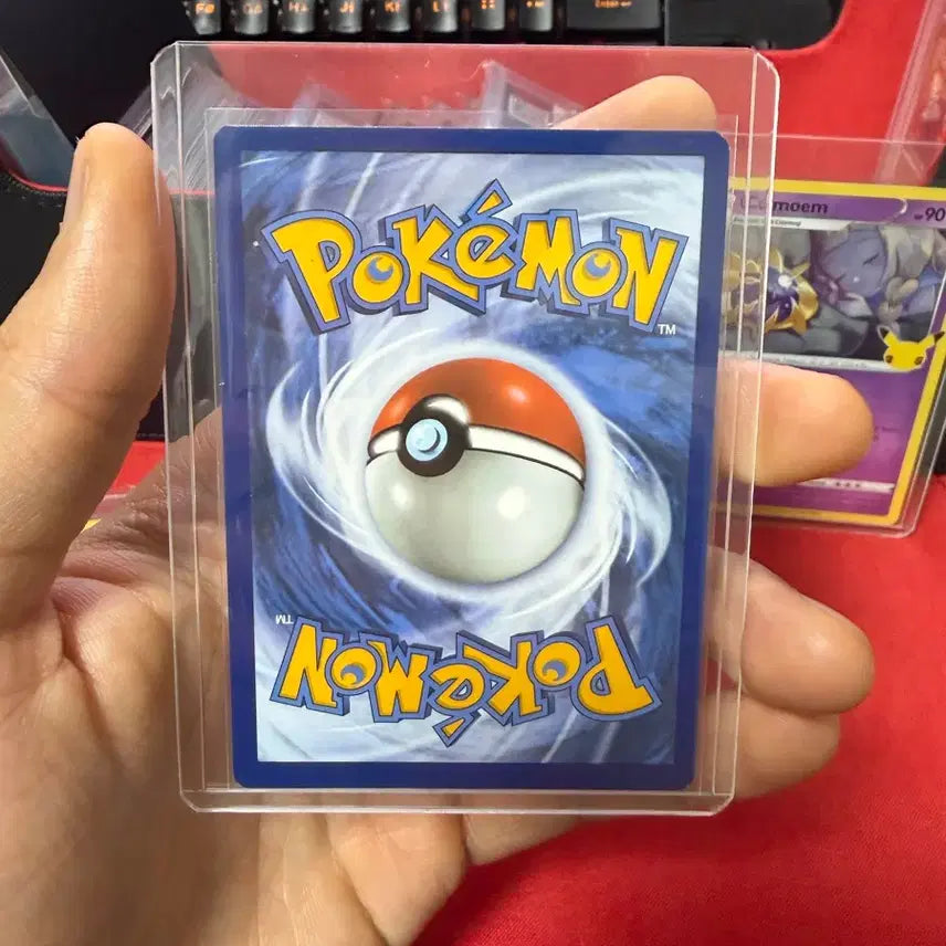 [BUNJANG] Pokemon Cards North America Bundle Set / 북미 포켓몬카드 일괄판매합니다.