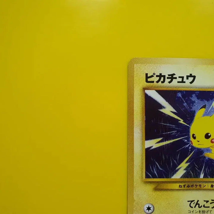 [SOLD OUT] GodzillaSp님 전용상품 포켓몬카드