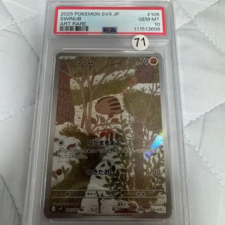 [BUNJANG] Pokemon Card Oinkologne AR PSA 10 Graded Japanese / 일판 포켓몬카드 꾸꾸리AR PSA10