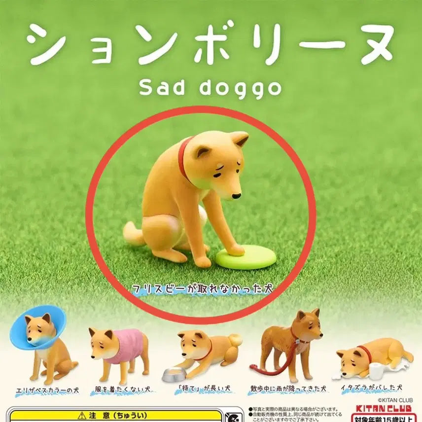 [BUNJANG] Kitantclub Sad Doggo Shiba Inu Gacha Figure / 미개봉) sad doggo 시바견 강아지 동물 가챠 키탄클럽