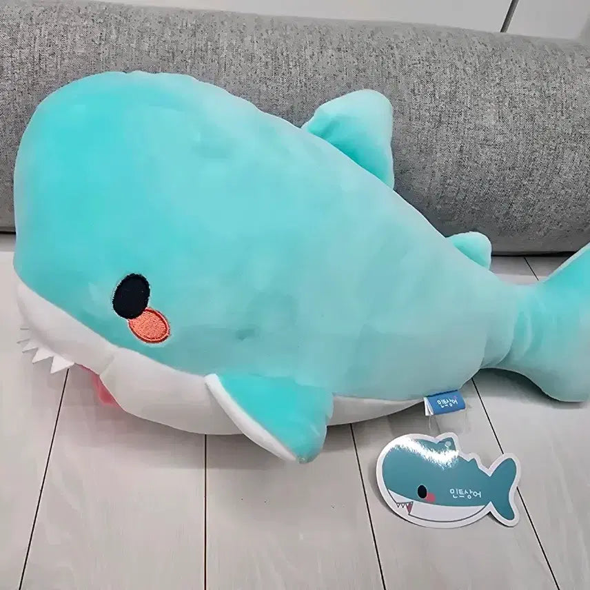 [BUNJANG] Mint Shark Medium Plush Doll / 민트상어 M 중형 인형