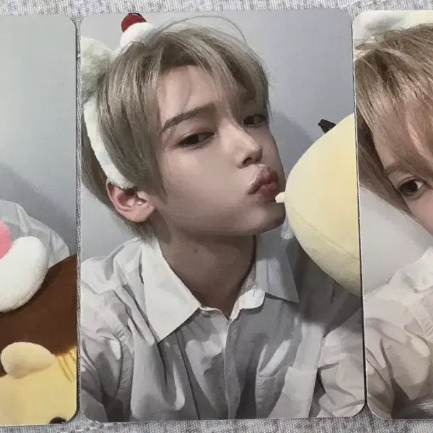 [BUNJANG] Zhang Hanum First Music Fan Sign Event POB Pudding Photocard Set / [앨범포함] 장한음 퍼스트뮤직 대면 팬싸 미공포 푸딩