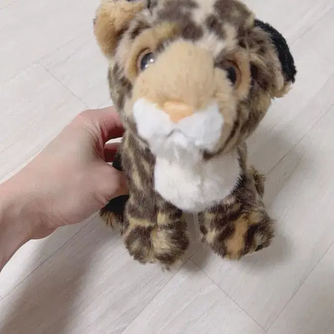 [BUNJANG] Leopard Print Baby Leopard Plush Toy / 호피 무늬 아기 표범인형