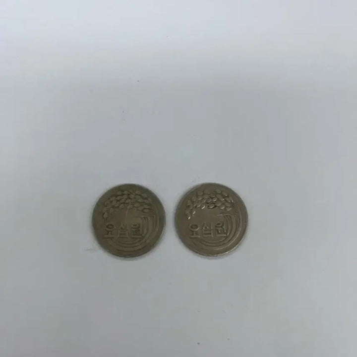 [BUNJANG] 1973 50 Won Coin (Set of 2) / 희귀동전 1973년 50원 팝니다