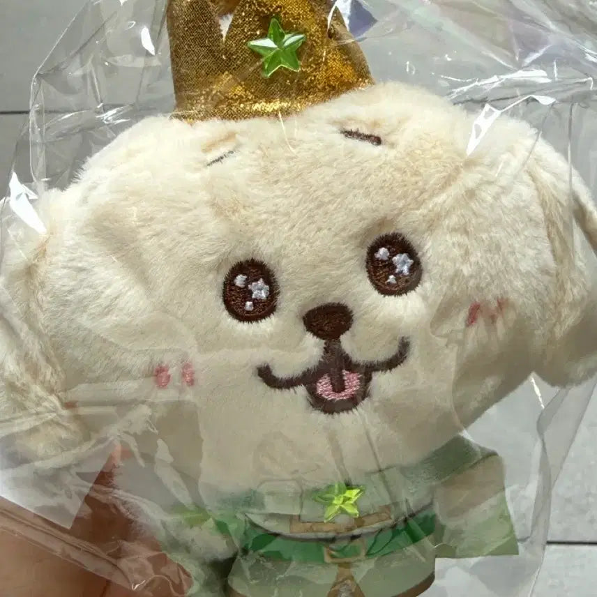 [BUNJANG] NCT WISH Prince Wish Doll Daeyoung Jaehee / 엔시티 위시 프린스 위시돌 프린스위시돌 왕자돌 댕트리버 댕트 대영 재희