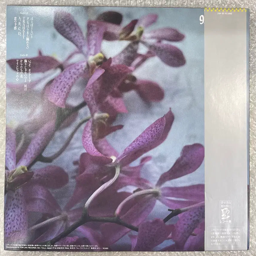 [BUNJANG] Yosui Inoue 9.5 Carat LP / 이노우에 요스이 / 9.5캐럿 LP