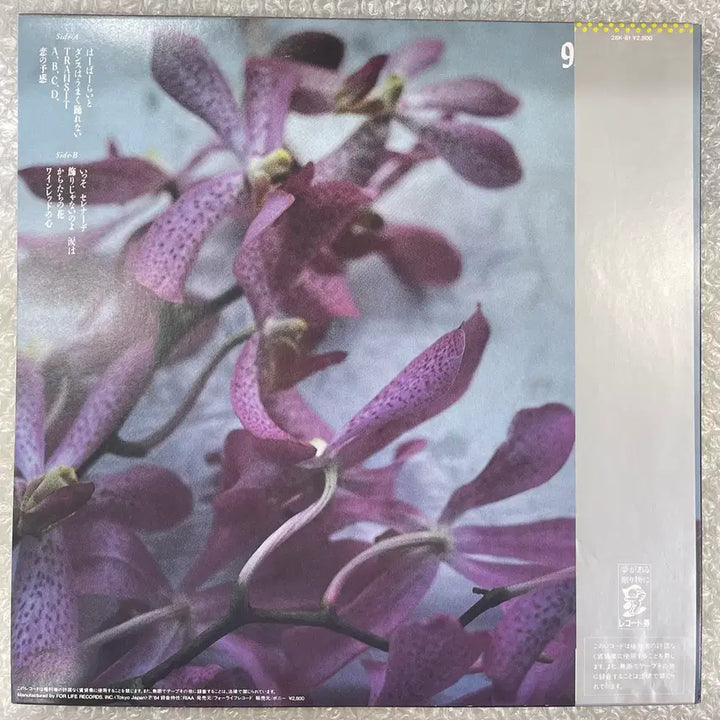 [BUNJANG] Yosui Inoue 9.5 Carat LP / 이노우에 요스이 / 9.5캐럿 LP