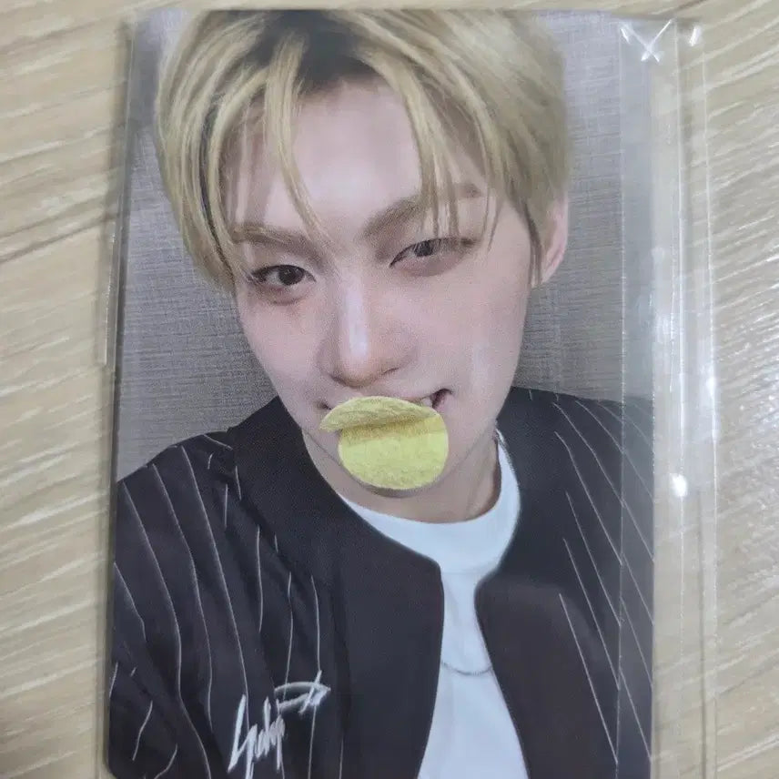 [BUNJANG] Tours Comeback Live Jihoon Photocard / 투어스 컴백라이브 지훈