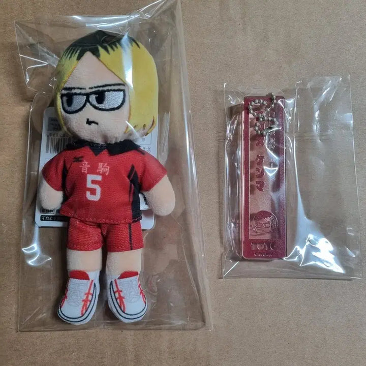 [BUNJANG] Haikyuu!! Kenma Kozume Doll + Acrylic Keychain Set / 하이큐 코즈메 켄마 지로리 인형 + 아크릴 키링 세트