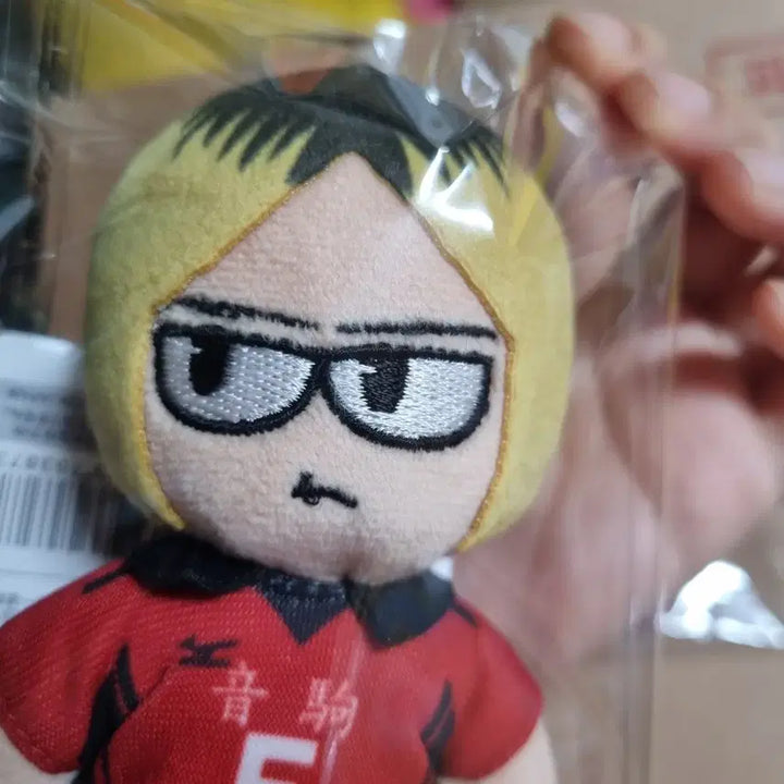 [BUNJANG] Haikyuu!! Kenma Kozume Doll + Acrylic Keychain Set / 하이큐 코즈메 켄마 지로리 인형 + 아크릴 키링 세트