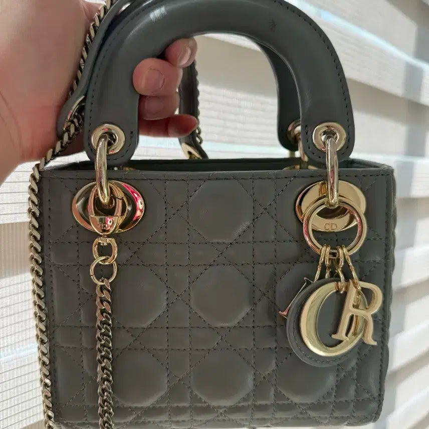 [BUNJANG] Dior Mini Bag / 디올가방미니가방