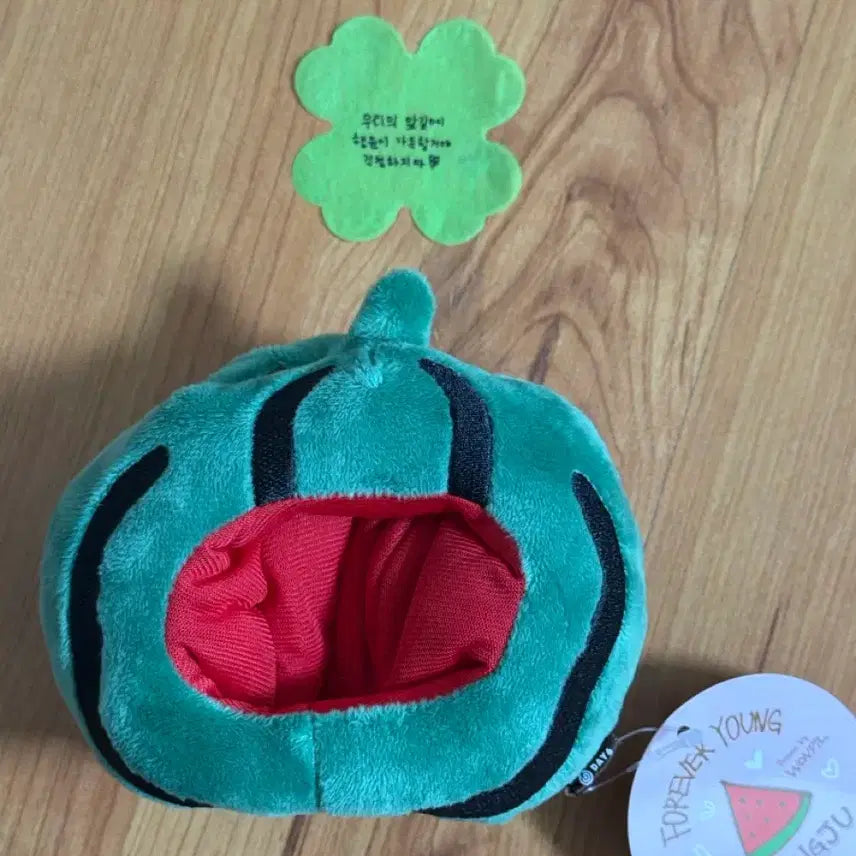 [BUNJANG] DAY6 Wonpil Custom Watermelon (Fools) Forever Young Goods / 데이식스 광주 수박 커스텀(포에버영 굿즈)