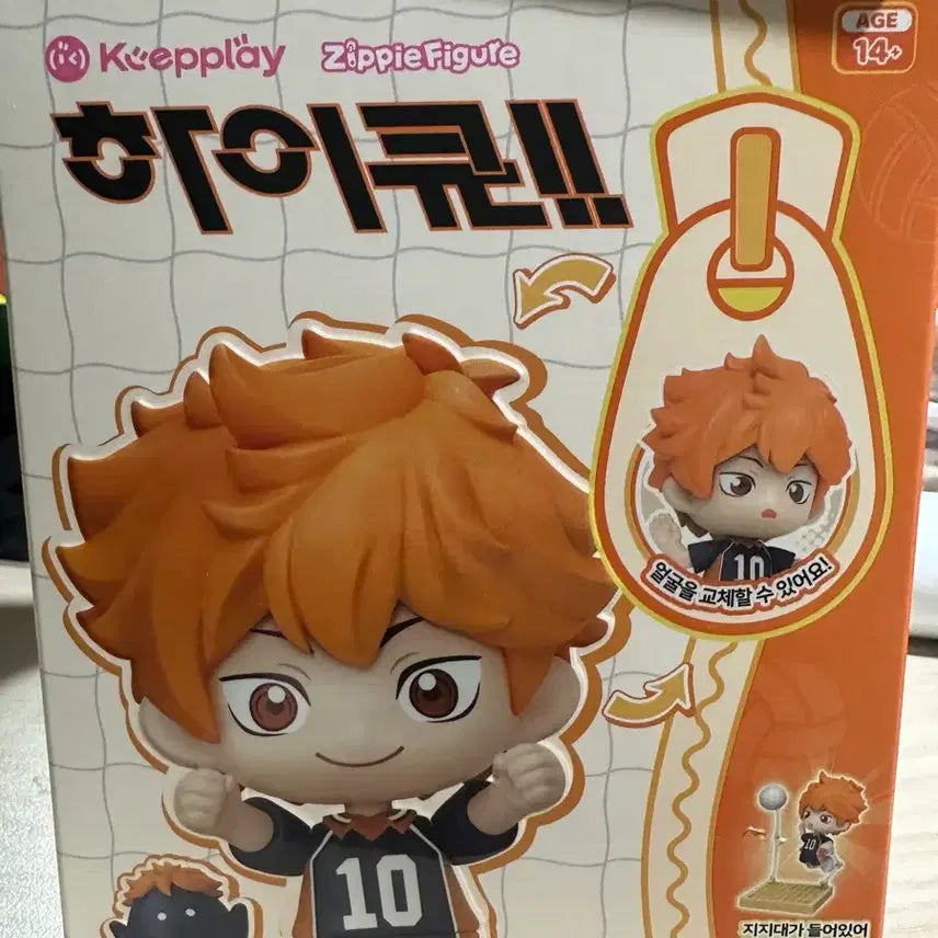 [BUNJANG] Haikyuu Bokuto Model Kit Figure / 하이큐 모델킷 피규어 보쿠토